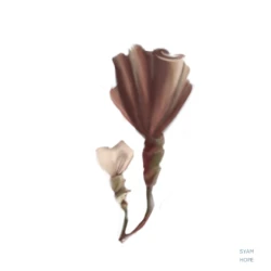 Botanical Art - digital Concept art by Art Syamhope